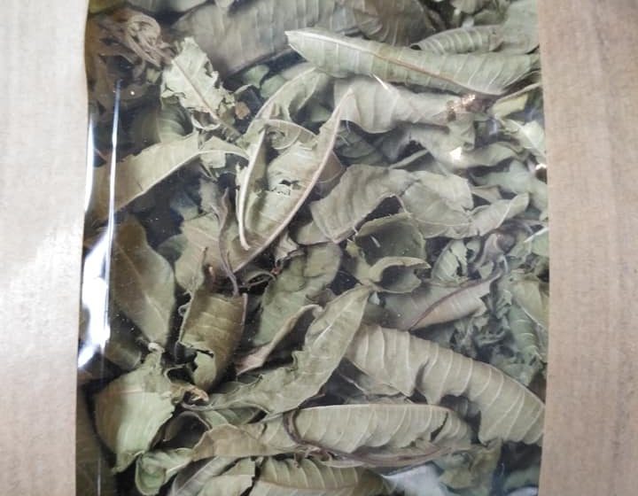 Βότανα